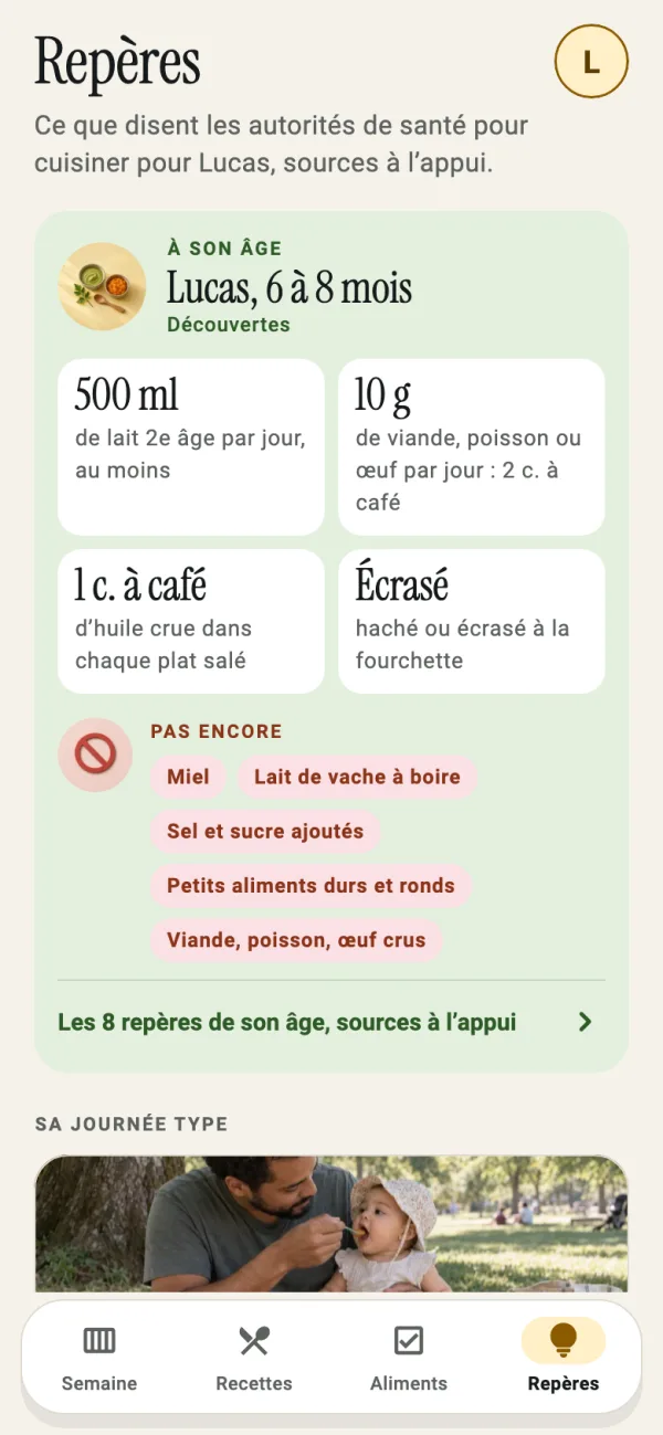 Repères à son âge, 6 à 8 mois : le lait, la viande ou le poisson, l’huile, les textures, et ce qui attend encore, avec leurs sources