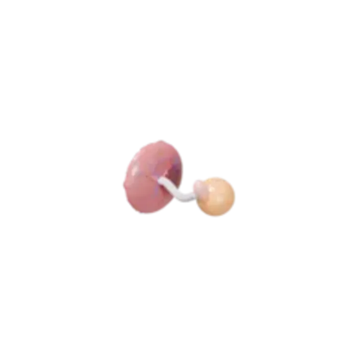 Bébé à 5 SA en 3D, modélisé par Klelia d’après les mesures de la semaine, vue agrandie 3 fois