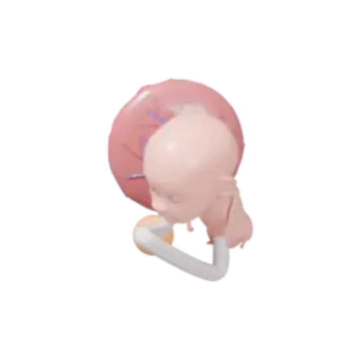 Bébé à 9 SA en 3D, modélisé par Klelia d’après les mesures de la semaine, vue agrandie 3 fois