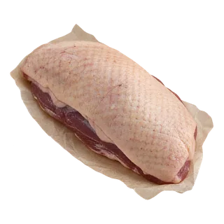 Canard