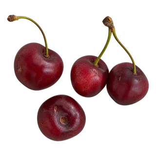 Cerise