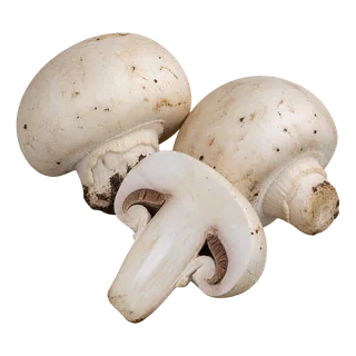 Champignons
