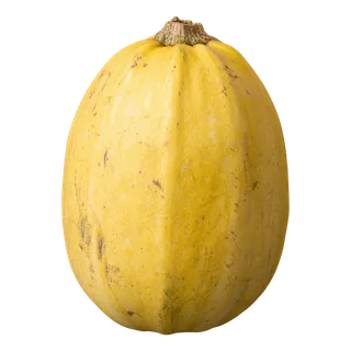 Courge spaghetti