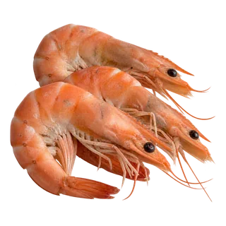 Crevette