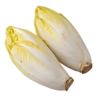 Endive