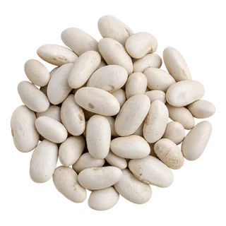 Haricots blancs