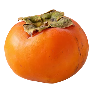Kaki