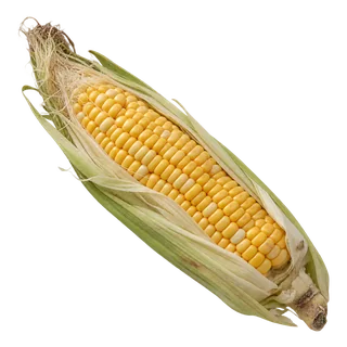 Maïs