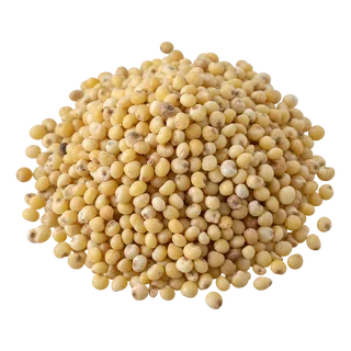 Millet