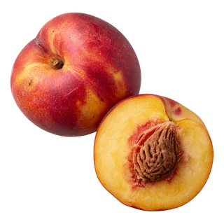 Nectarine