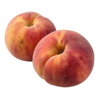 Pêche