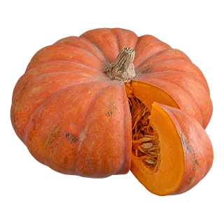 Potiron