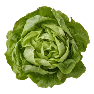 Salade