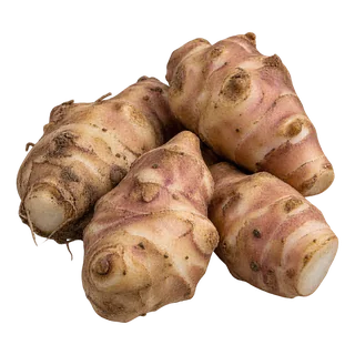 Topinambour